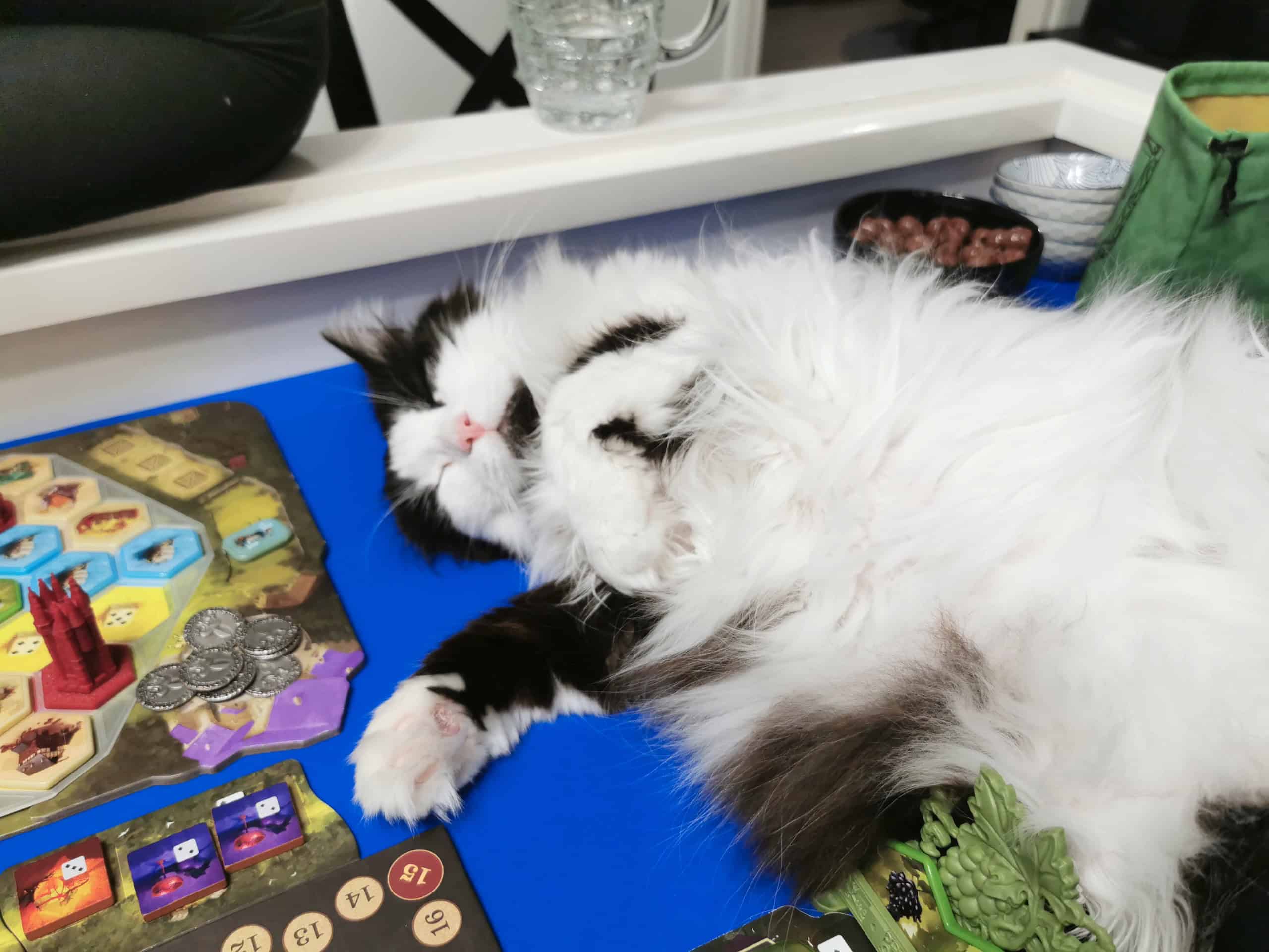 Kissa lojumassa pelipöydällä